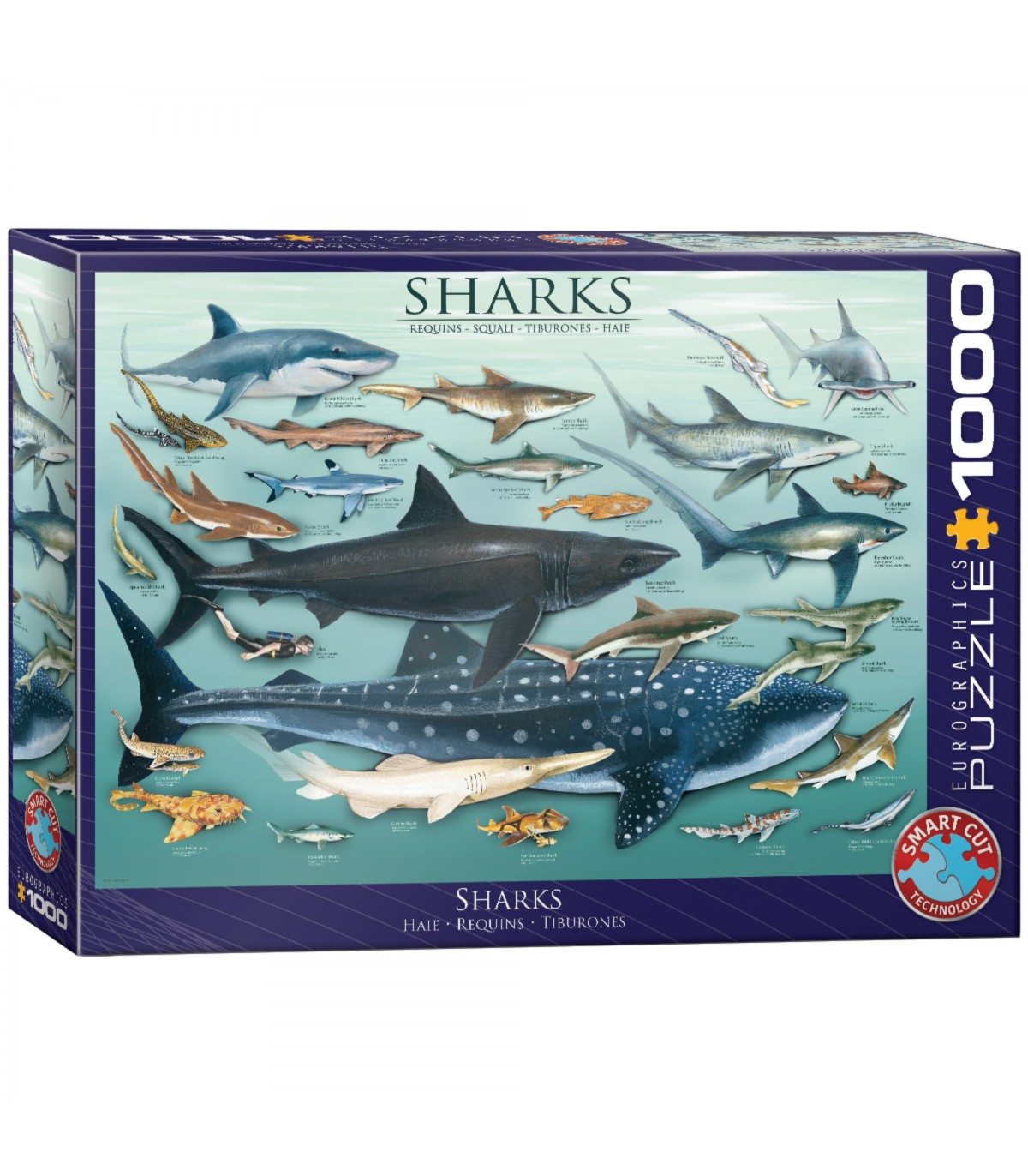 Puzzle da 1000 Pezzi - Sharks