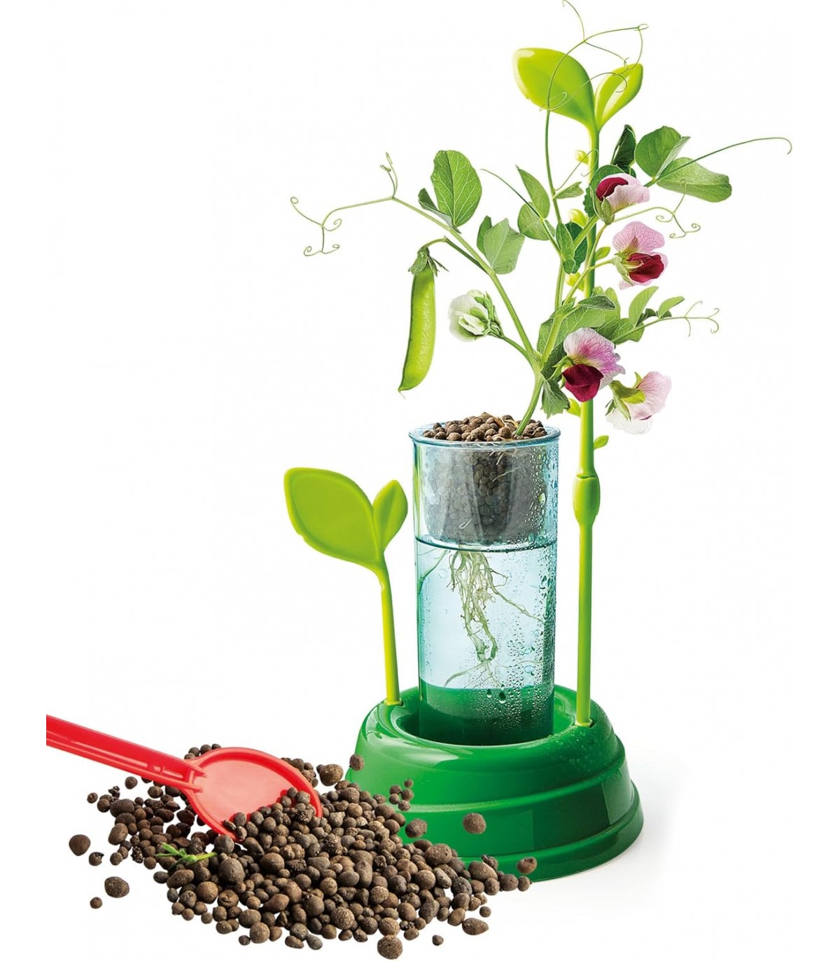 Scienza & Gioco - La Botanica