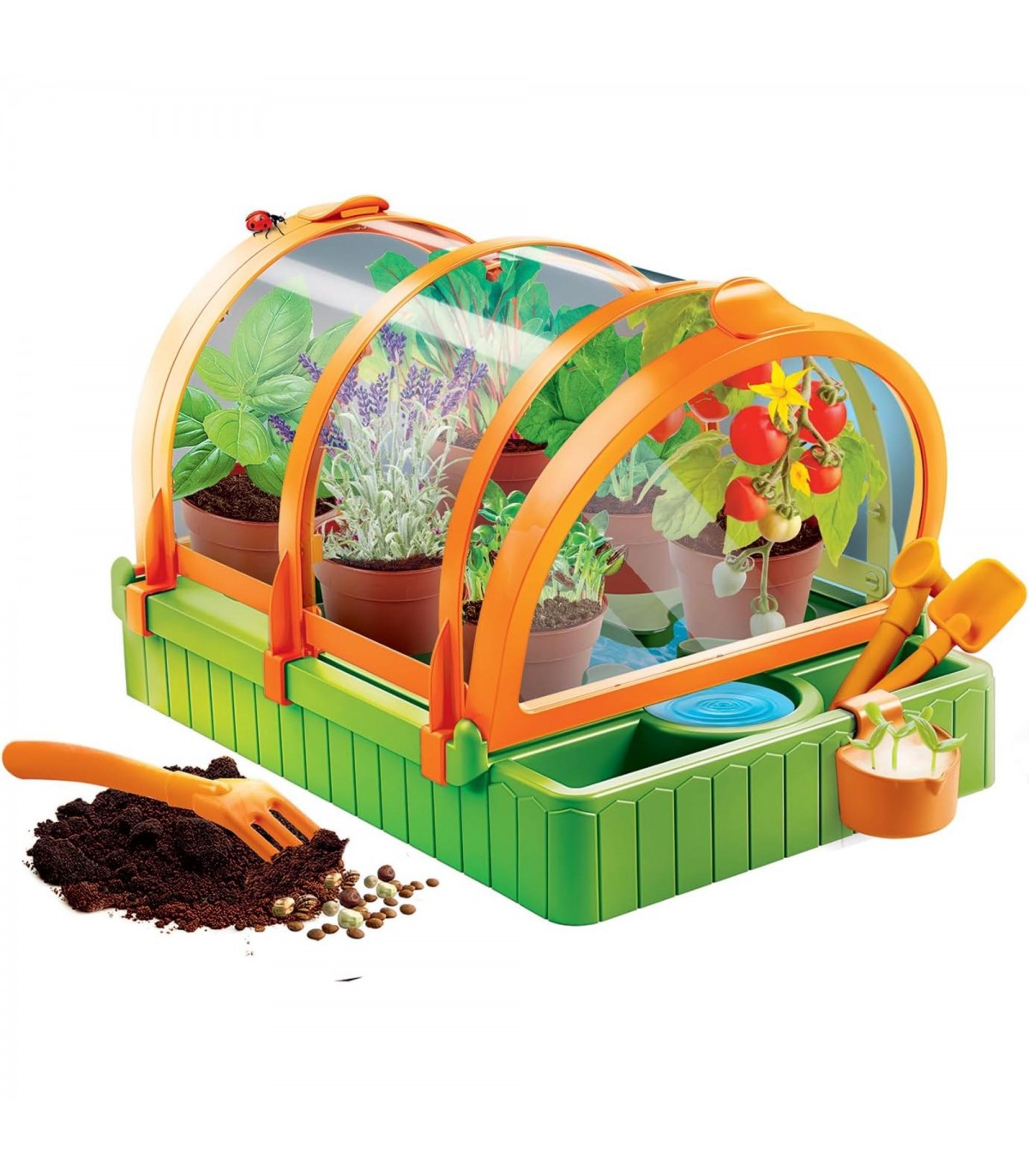 Scienza & Gioco - La Mia Serra