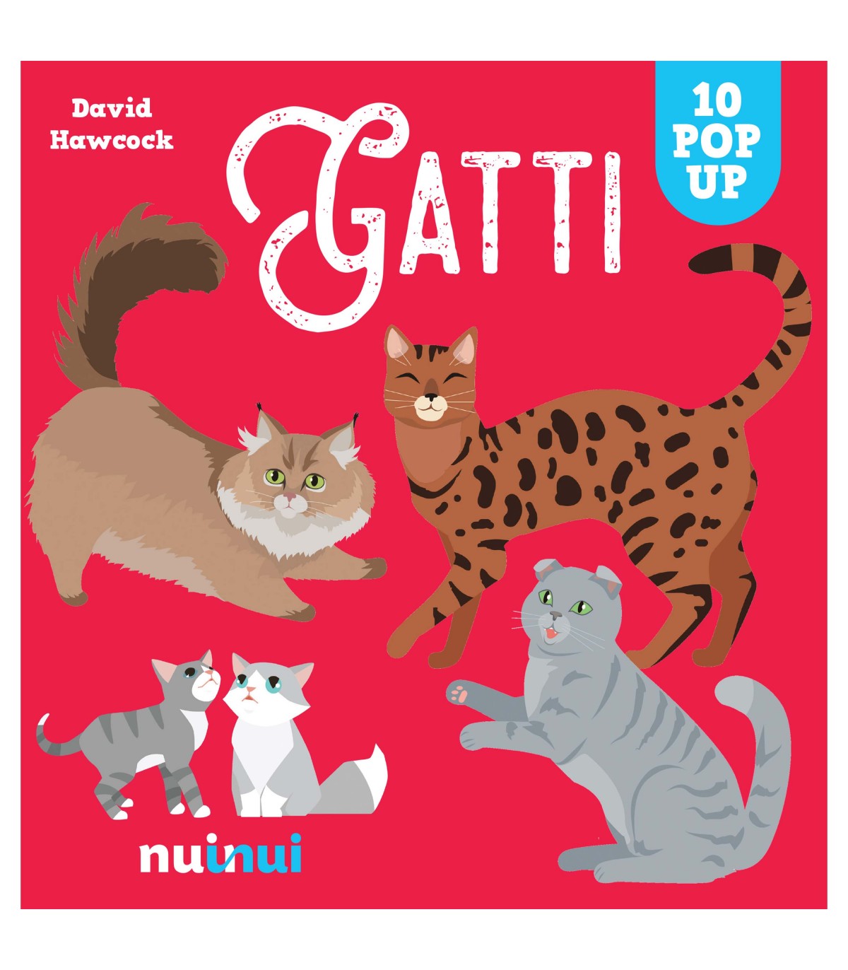 Sorprendenti Pop Up - Gatti