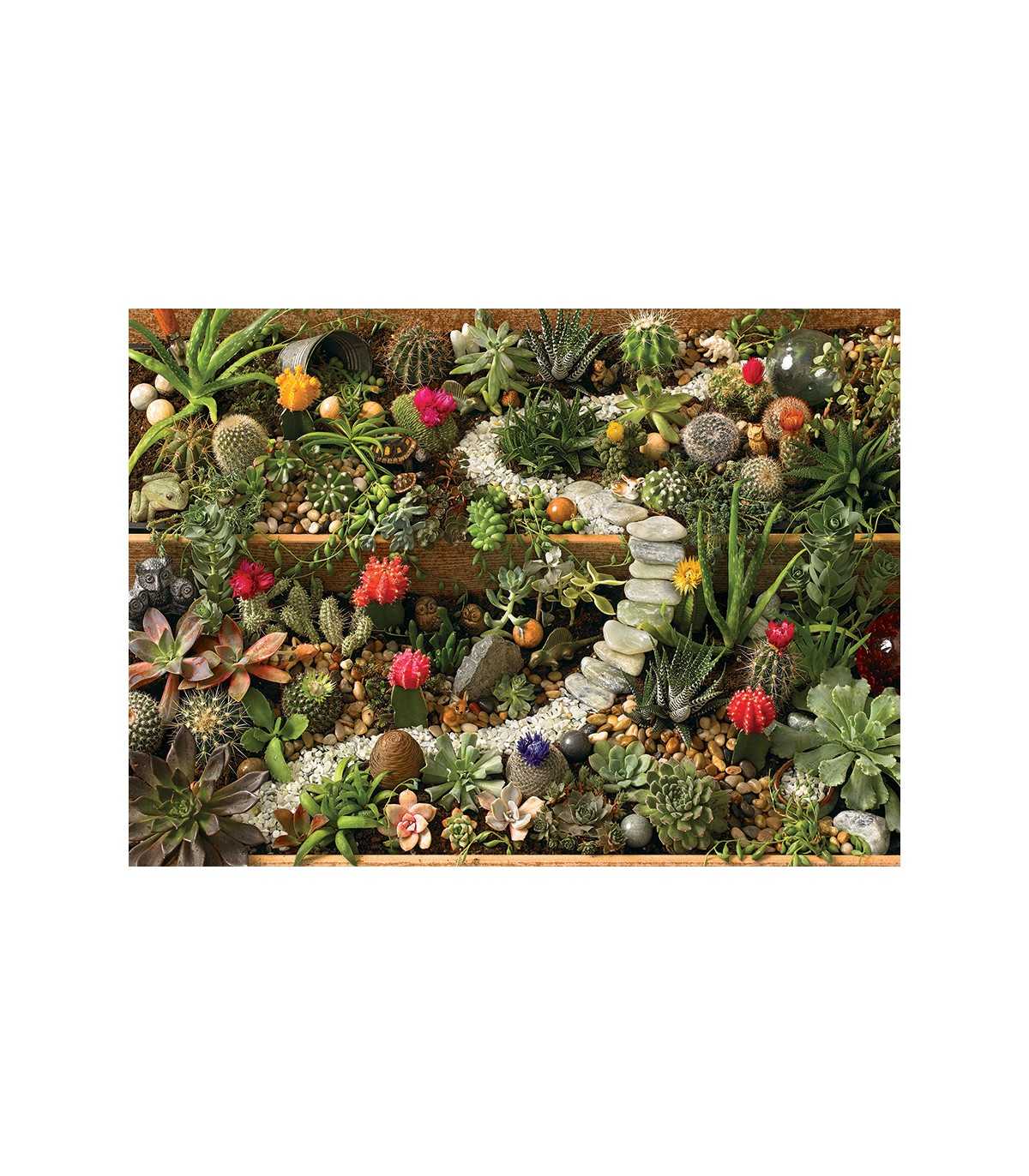 Succulent Garden - Puzzle 1000 pezzi