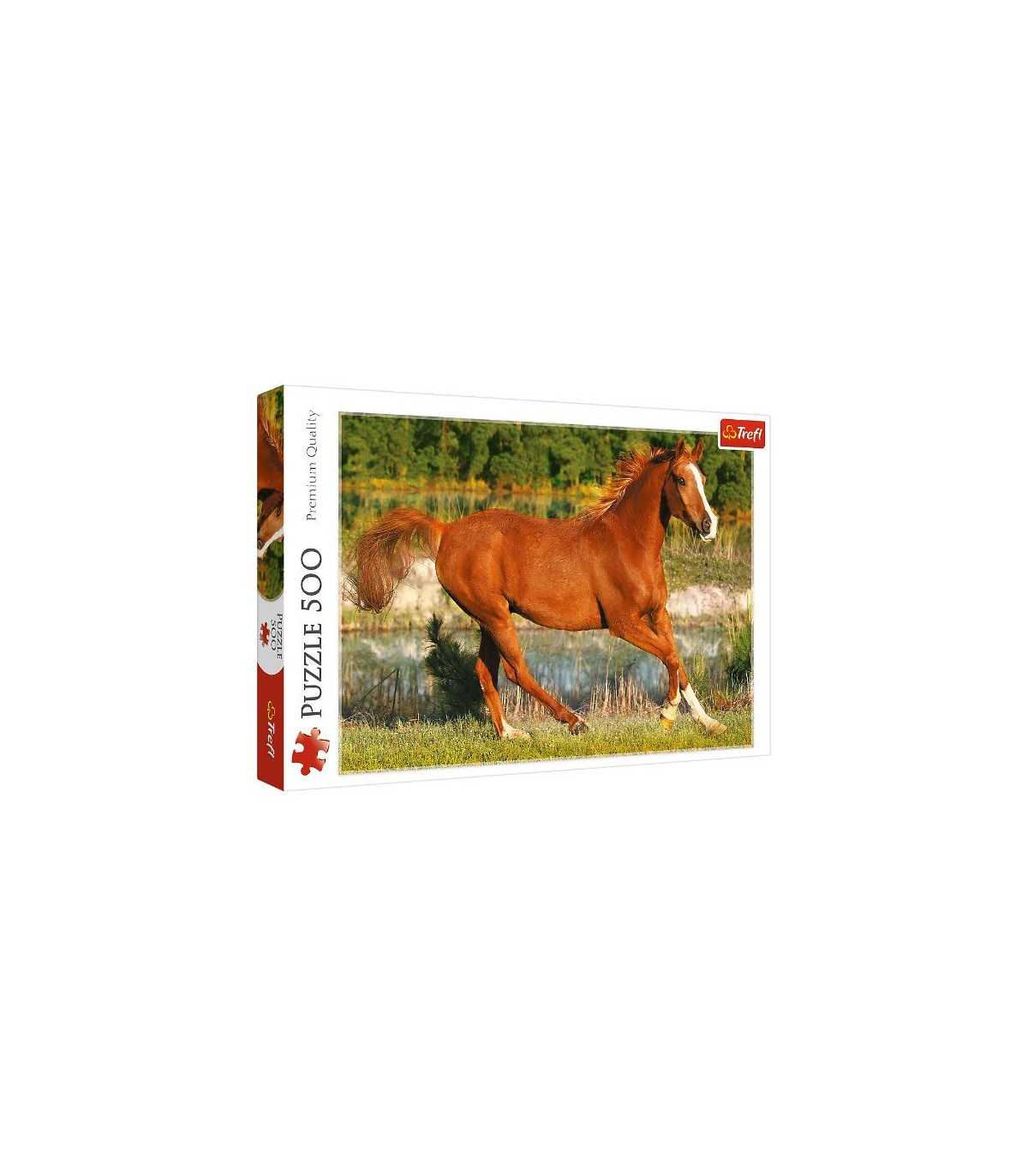The Beauty of Gallop - Puzzle 500 pezzi