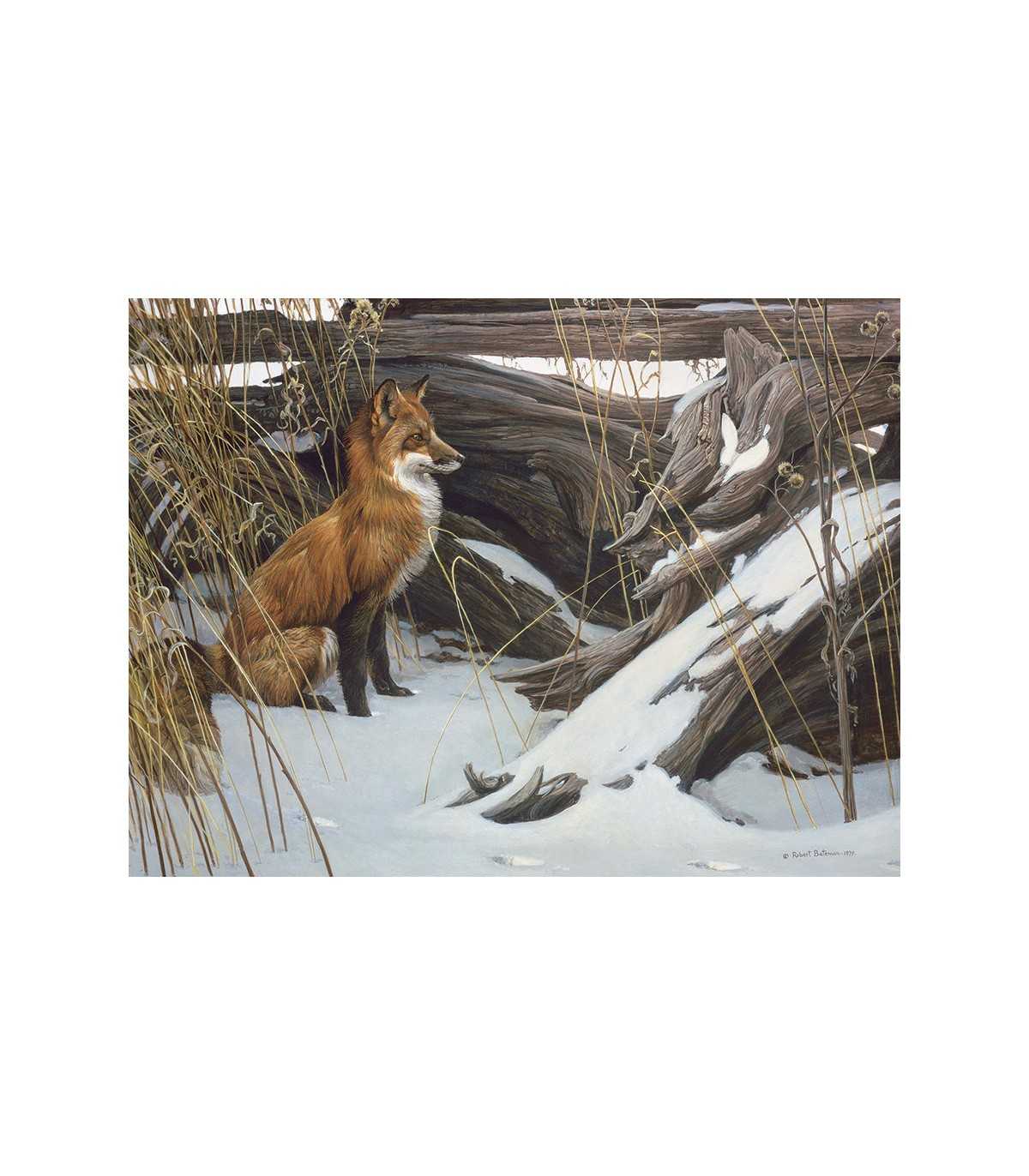 Wily and Wary - Puzzle 500 pezzi